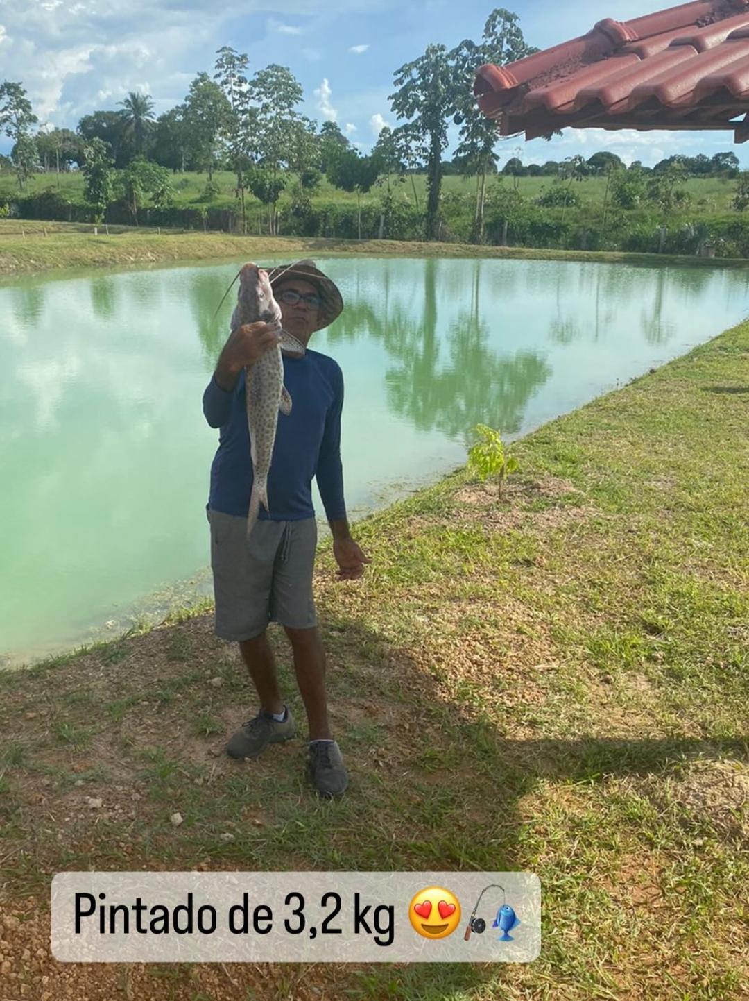 Pintado de 3,2 kg fisgado no pesque e pague