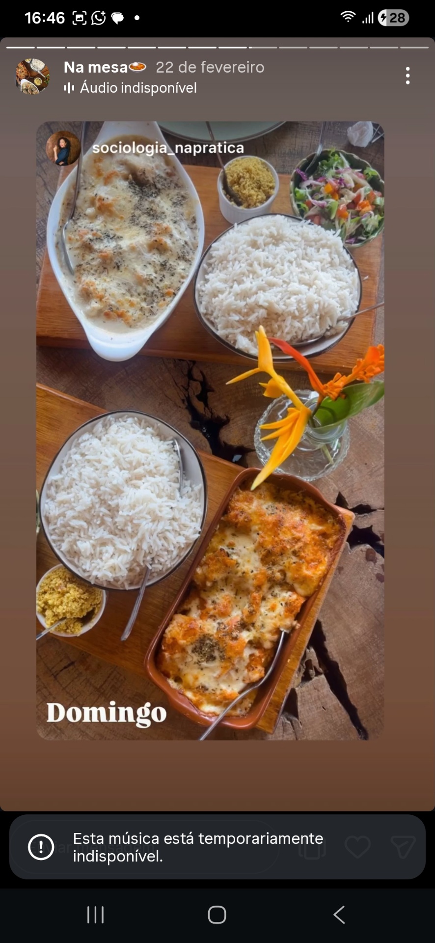 Especial de domingo: arroz, gratinados e saladas